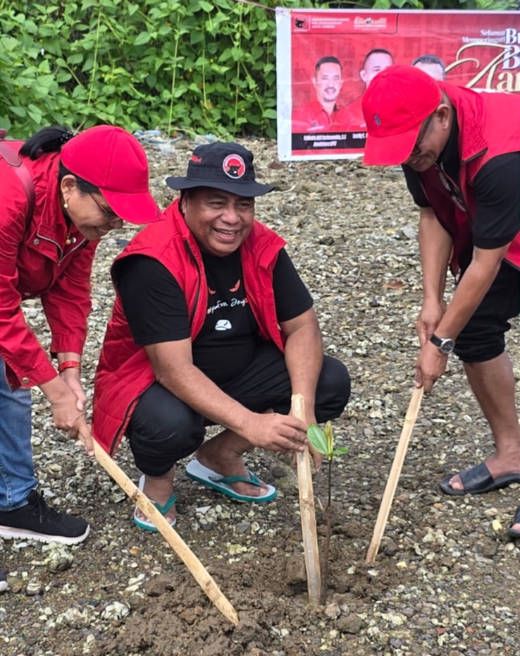 PDIP Maluku Tanam 1.000 Mangrove di Teluk Ambon